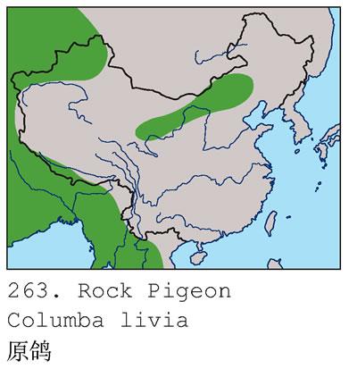 ԭ�룺�����ֲ�ͼ