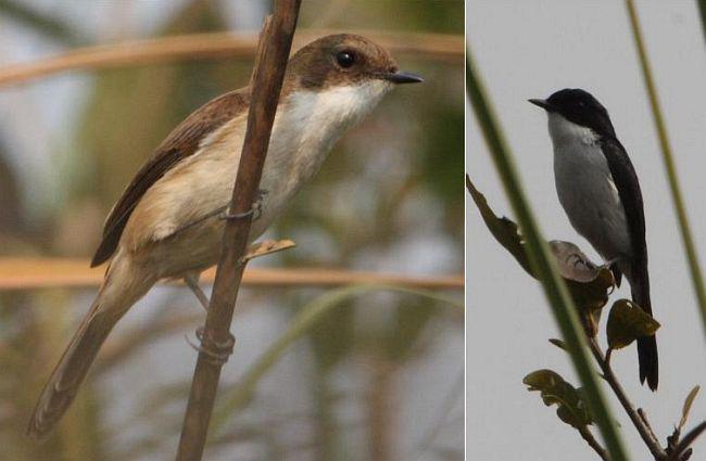 �ڰ����S����ߴ����ұ�����