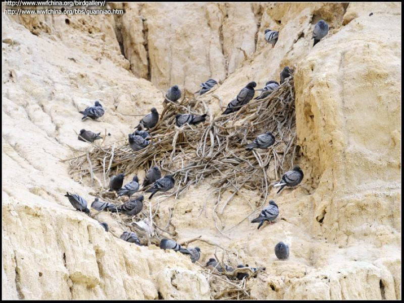 ԭ�룬�����½�