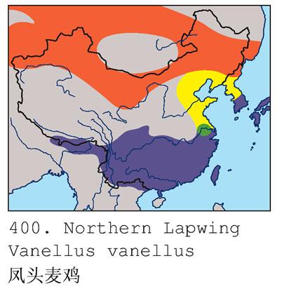 ��ͷ�󼦣������ֲ�ͼ