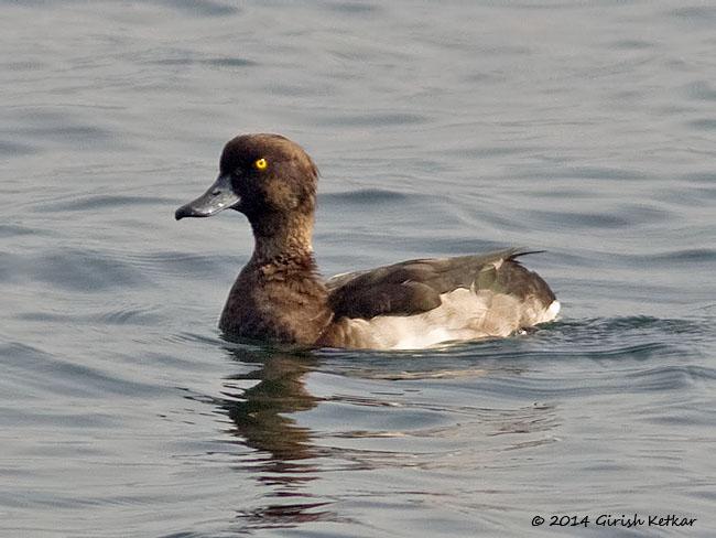 ��ͷǱѼ�������ǳ���