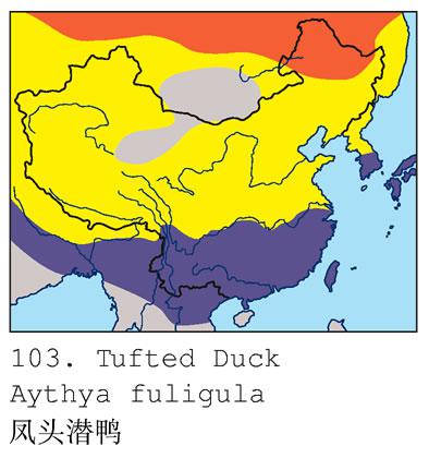 ��ͷǱѼ�������ֲ�ͼ