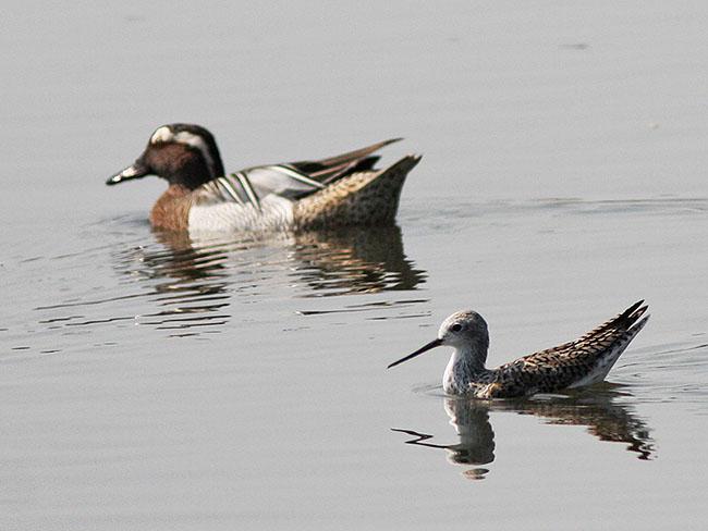 ���֣���Ӿ