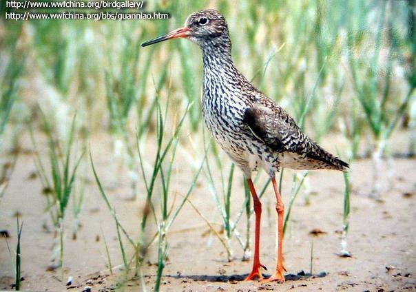 ����֣�����̺�������������