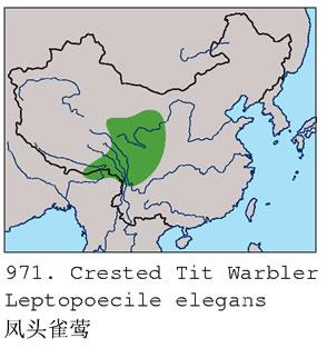 ��ͷȸݺ�������ֲ�ͼ