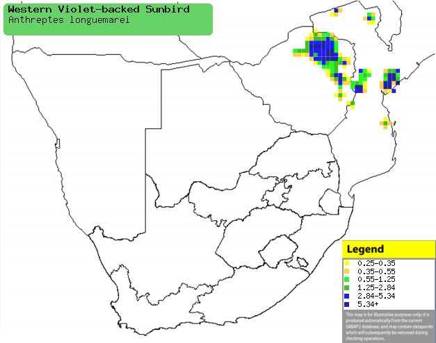 ���ϱ�ʳ����