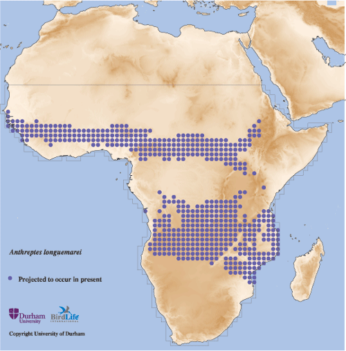 ���ϱ�ʳ����