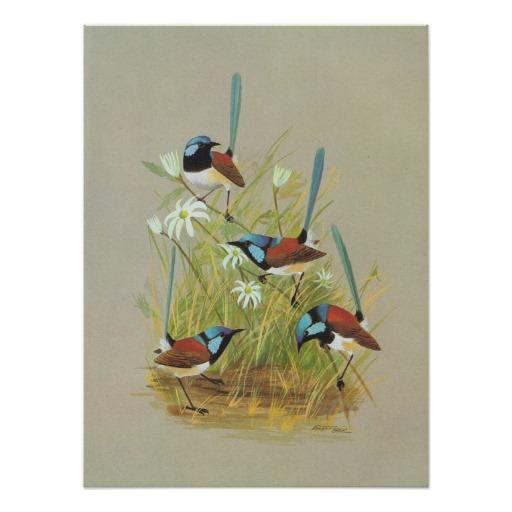 ��ɫϸβ��ݺ