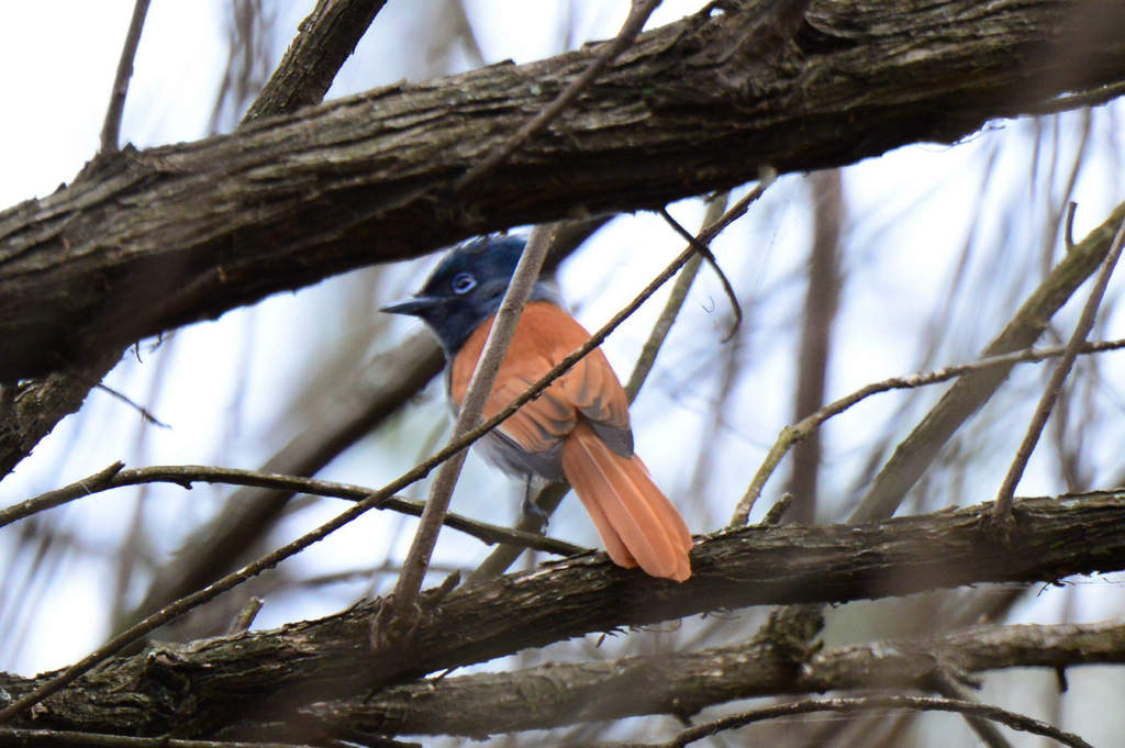 �����ٴ�������