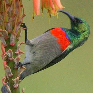 ˫�컨�����ͼƬ