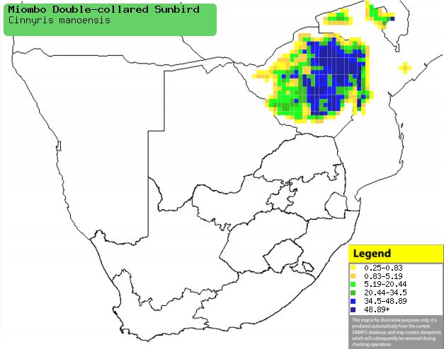 ˫�컨����