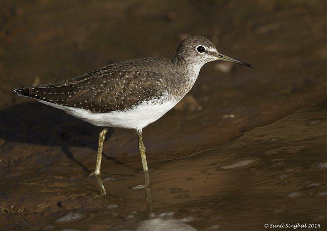 �������ֵ�ͼƬ