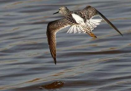 �������֣�������̬