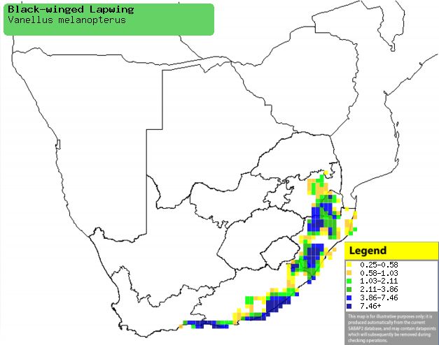 �ڳ��󼦣������ֲ�ͼ