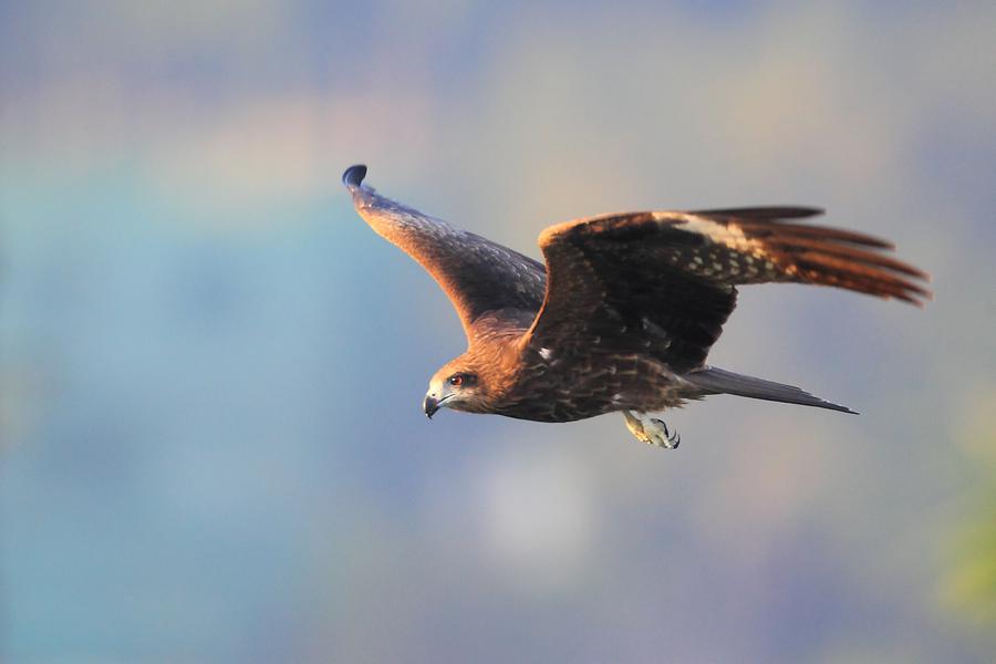 �ڶ�𰣬���ߺ����