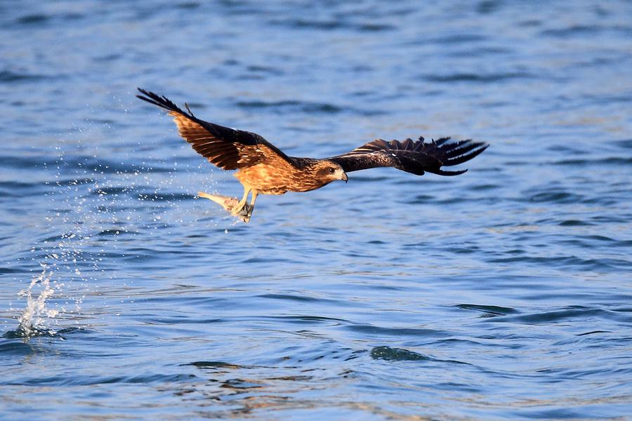 �ڶ�𰲶�㣬���ߺ����