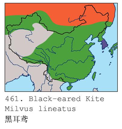 �ڶ�𰣺�����ֲ�ͼ