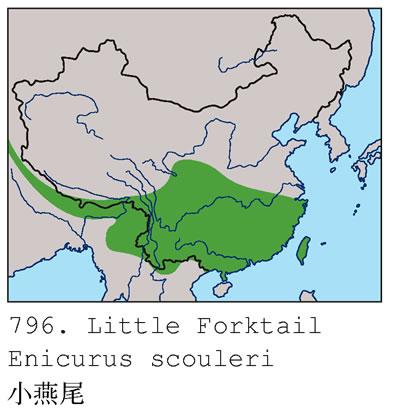 С��β�������ֲ�ͼ