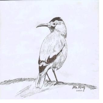 ��β��ѻ����̬����ͼ