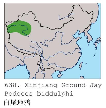 ��β��ѻ�������ֲ�ͼ