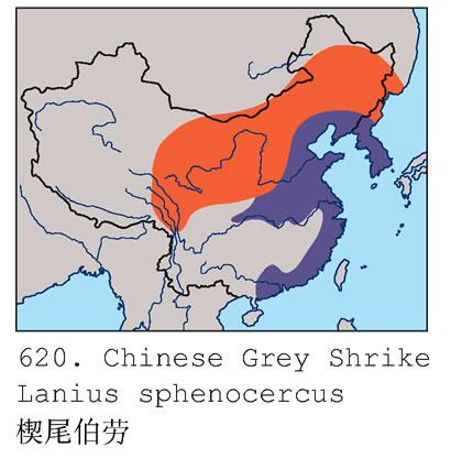 Шβ���ͣ������ֲ�ͼ