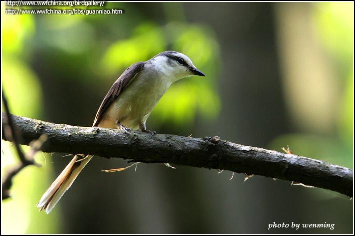 С��ɽ�����ͼƬ