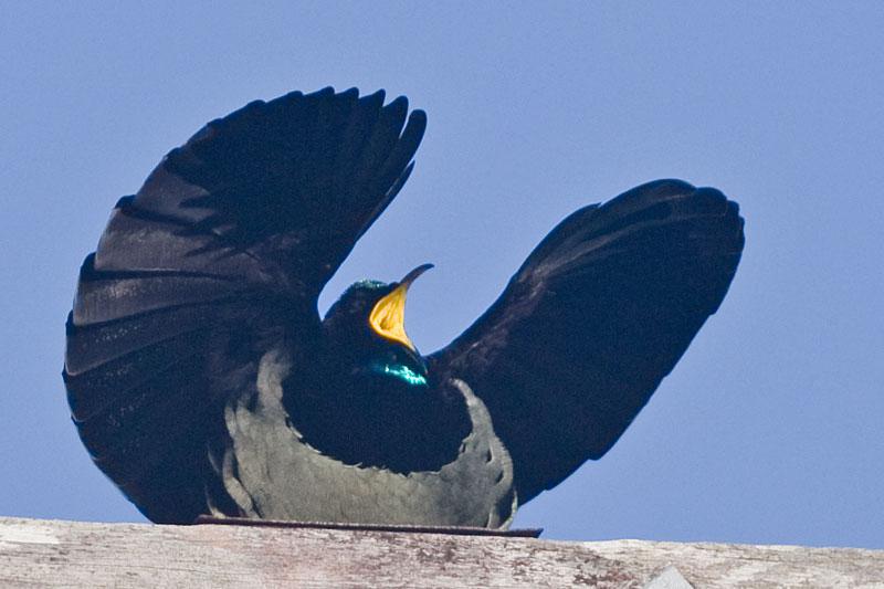 С�ڱǷ�������