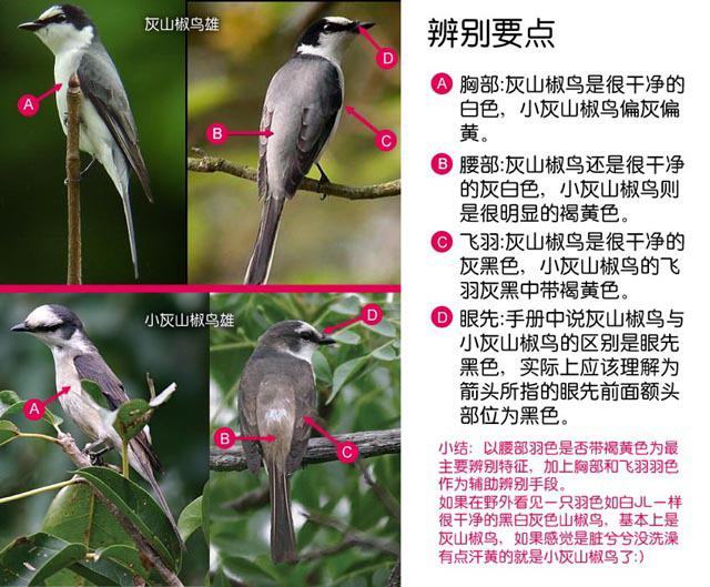 С��ɽ����