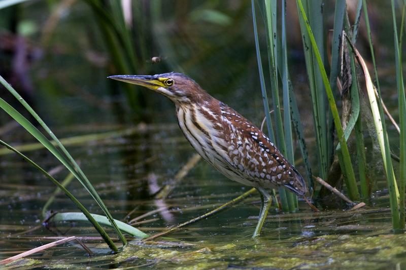 �ϱ�έ�Z��������ǳ���