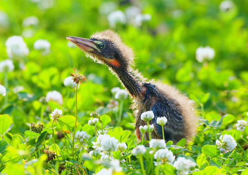 �ϱ�έ�Z������