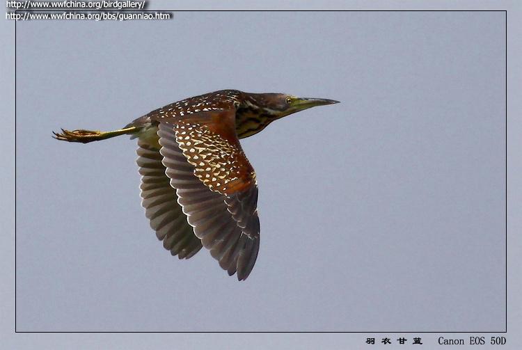 �ϱ�έ�Z����