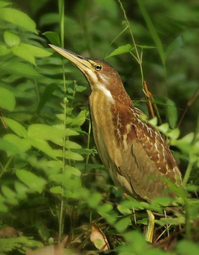 �ϱ�έ�Z������