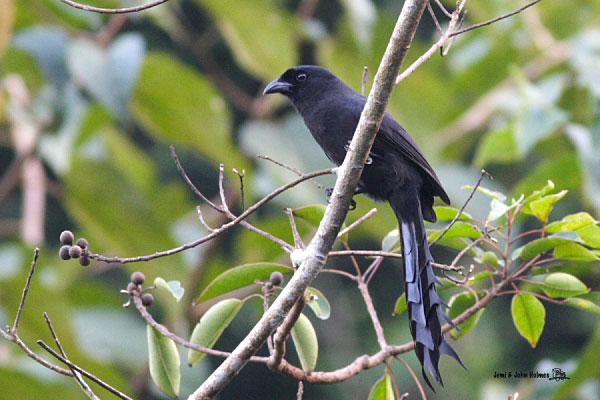 ��β��ȵ�����ں��ϣ�