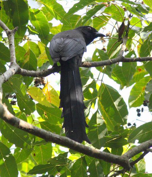 ��β��ȵ�����ں��ϣ�