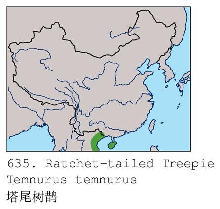 ��β��ȵ�������ֲ�ͼ