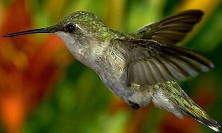 ���۷���