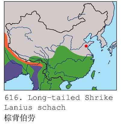 �ر����ͣ������ֲ�ͼ