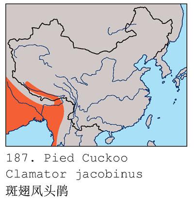 �߳��ͷ�飺�����ֲ�ͼ