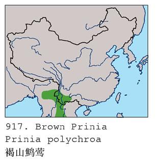 ��ɽ��ݺ�������ֲ�ͼ