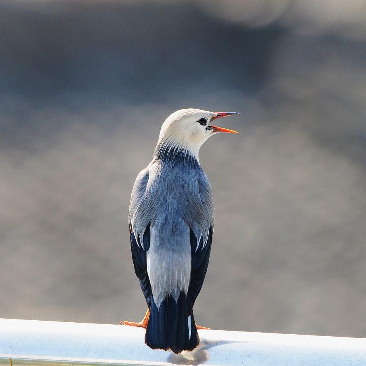 ˿���������ĵ�����������ͷ������