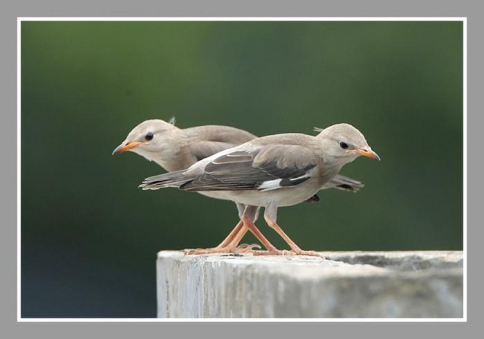 ˿������������ߣ����£�����أ�������Դ������ʱ�䣺2008-6-7