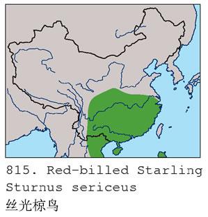 ˿����񣺵����ֲ�ͼ