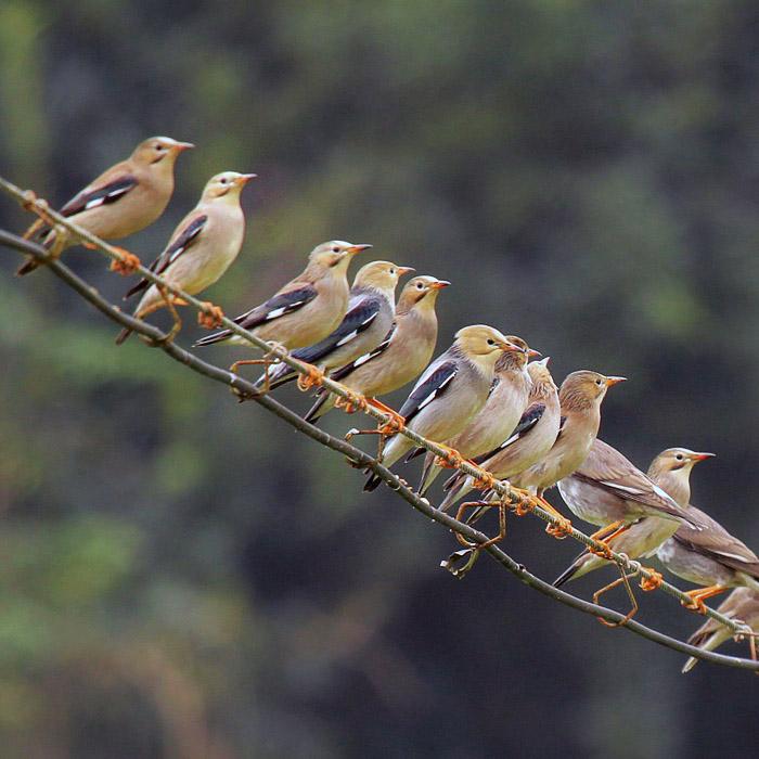 ϲ��Ⱥ��˿�����