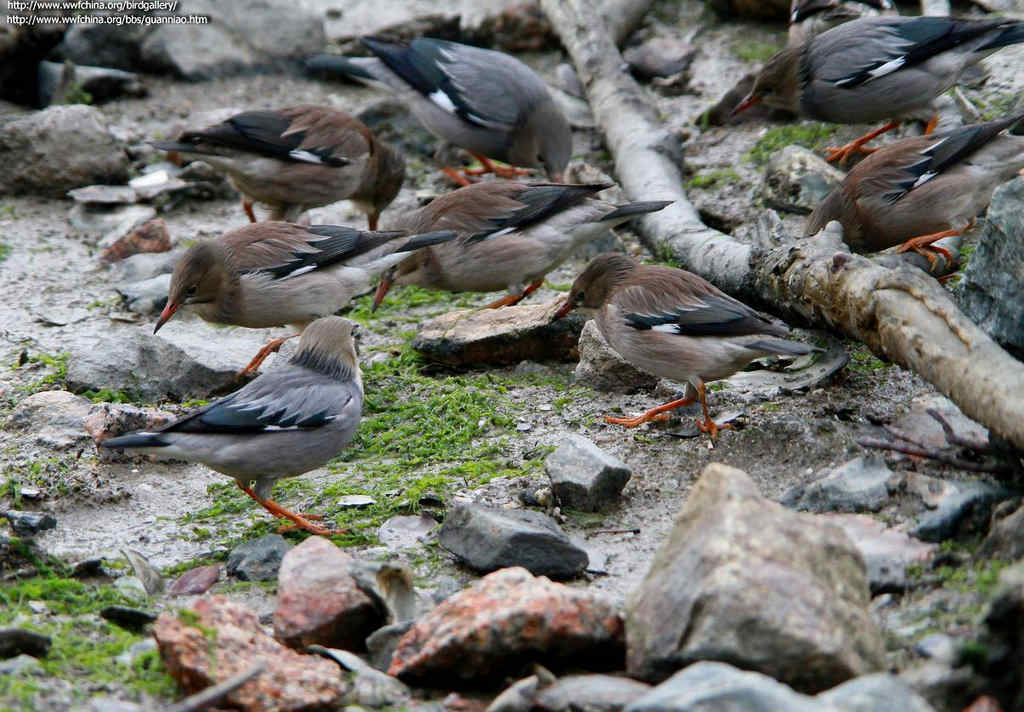 ˿�������Ӱ��ү�ӣ�����ص㣺�㶫 ���ڣ�����ʱ�䣺20110130