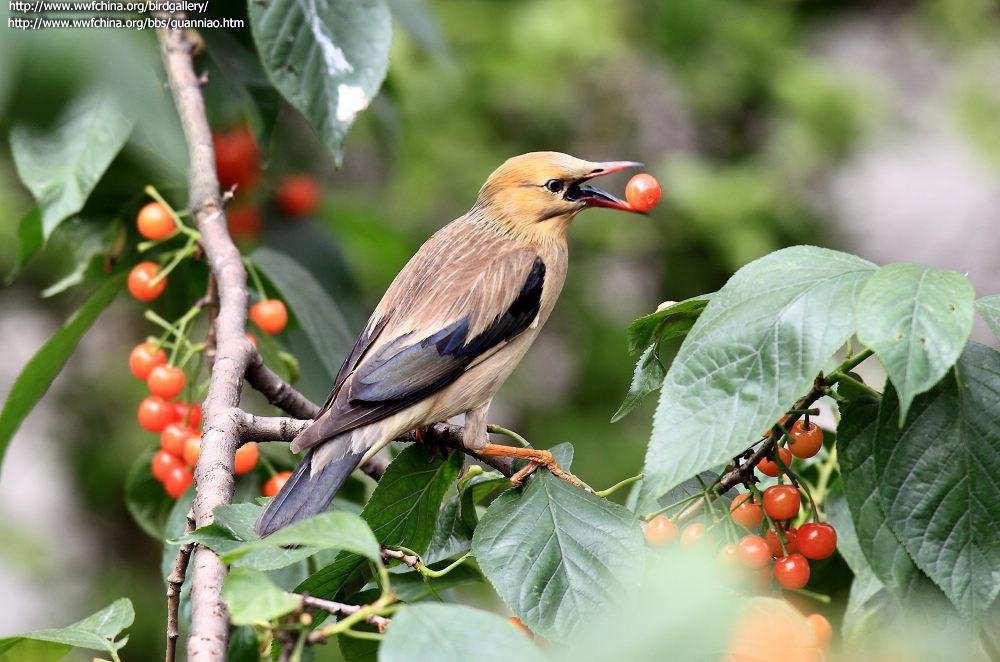 ˿�������Ӱ��ˮ��ɽ������