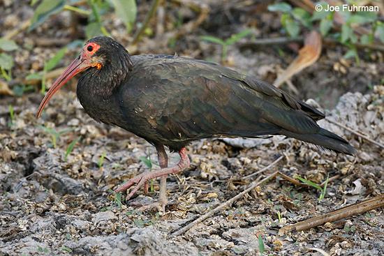 ��β�q��ͼƬ