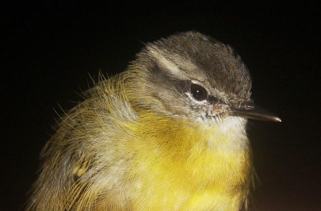 ������ݺ