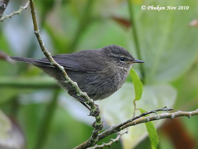 ����ݺ��ͼƬ