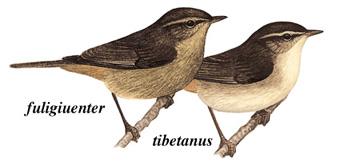 ����ݺ����̬����ͼ