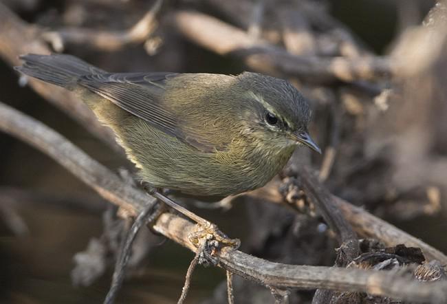 ����ݺ������ӡ�ȣ�